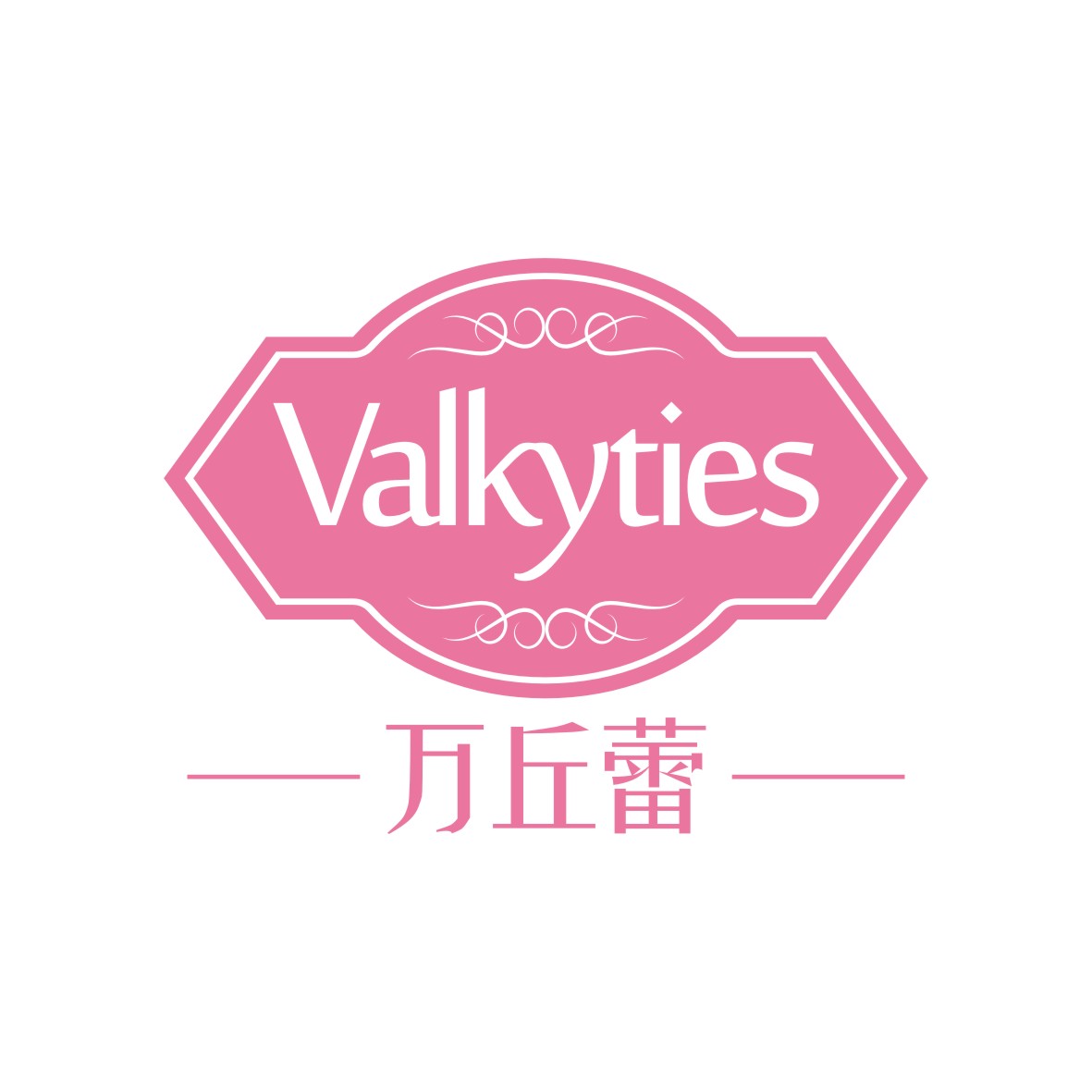 广州品翰文化发展有限公司商标万丘蕾 VALKYTIES（24类）商标转让流程及费用